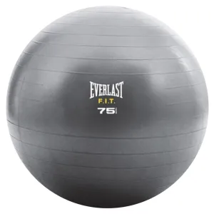 Everlast Core Strength Ball