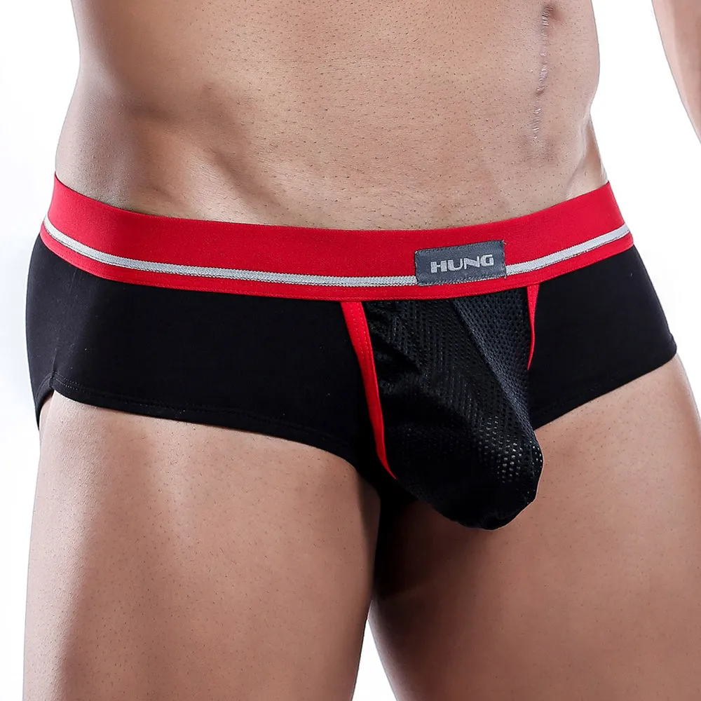 Hung HGJ002 Brief