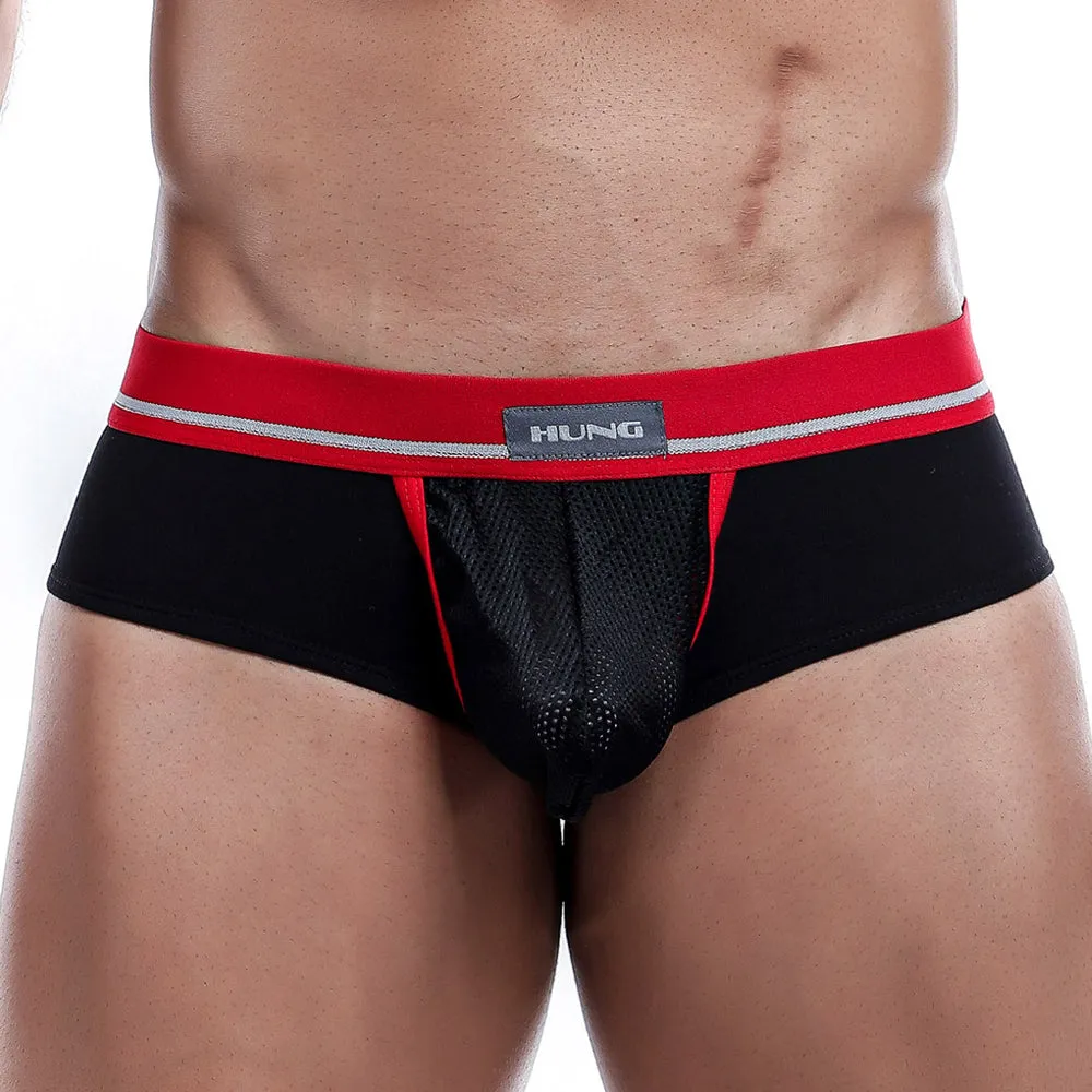 Hung HGJ002 Brief