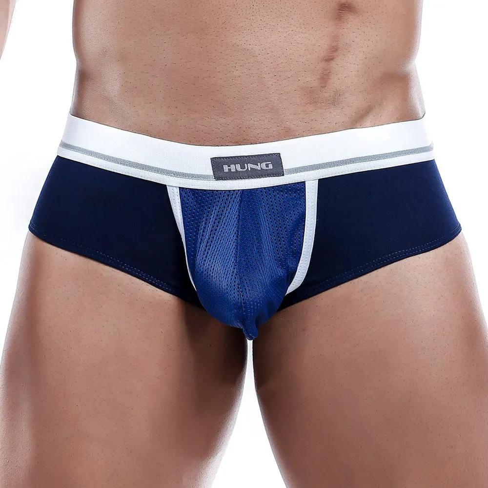 Hung HGJ002 Brief