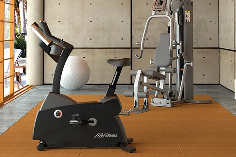 Life Fitness C3 Lifecycle Upright Exercise Bike