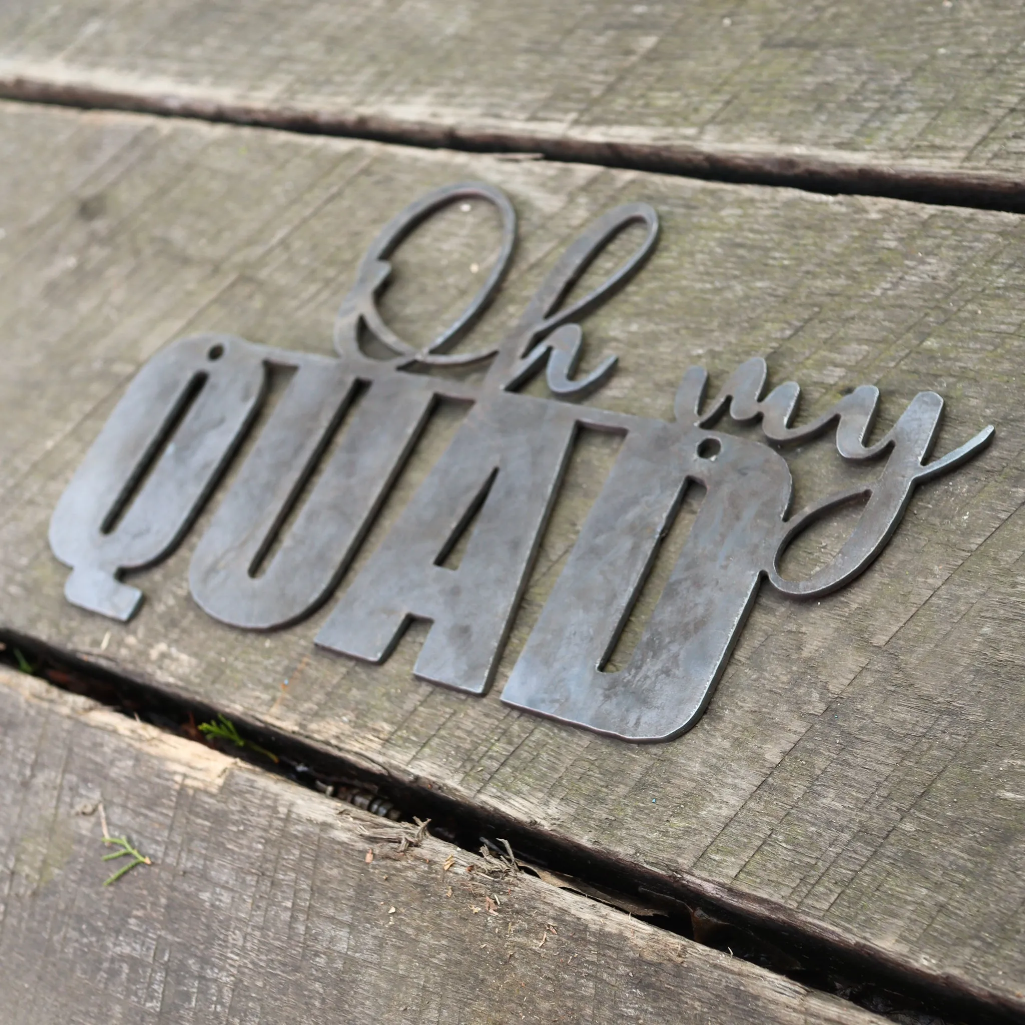 Oh my Quad! Wall Art - Home Gym Decor - Workout Inspiration Metal Sign - Fitness Quote Decor