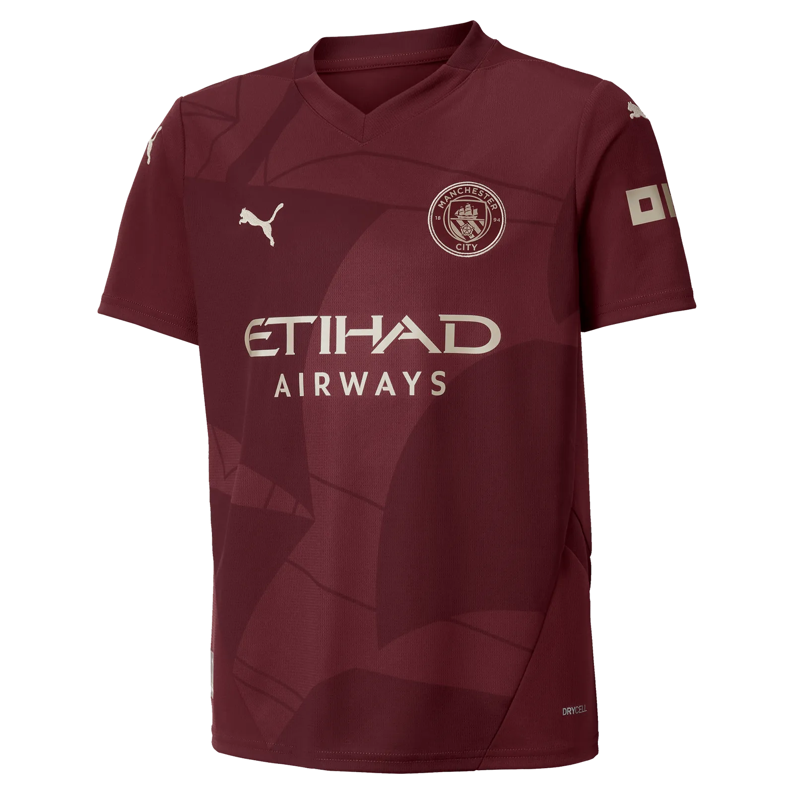 Puma Manchester City Kids Third Jersey